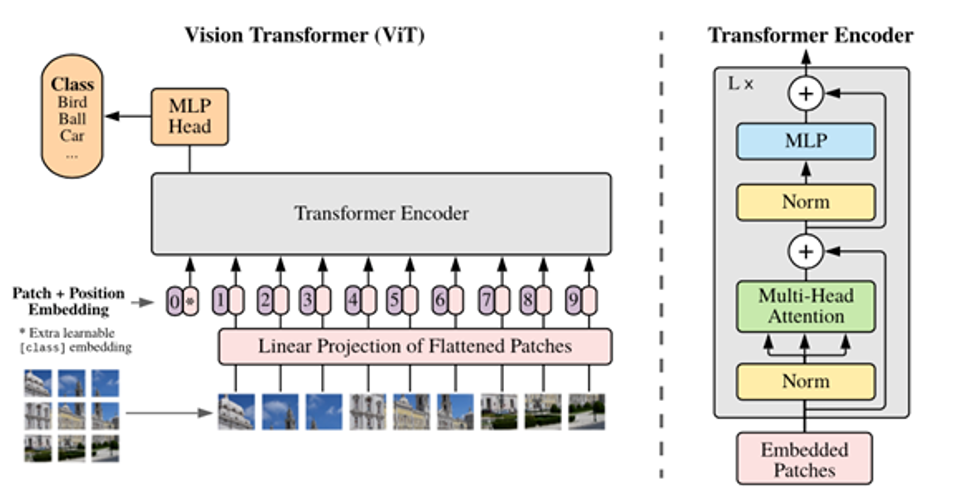 Vision Transformer